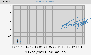 Wind Vector